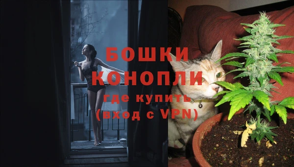 ПСИЛОЦИБИНОВЫЕ ГРИБЫ Липки