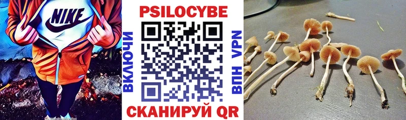 Псилоцибиновые грибы ЛСД  купить наркоту  Никольское 